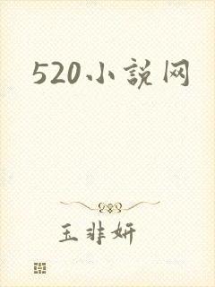 520小说网