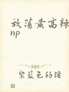 放荡黄高辣h文np
