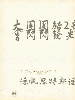 大团圆结2亲情会闪闪发光