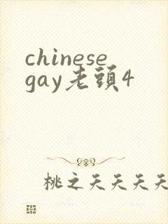 chinesegay老头4