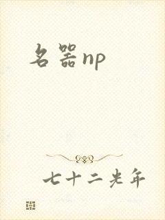 名器np