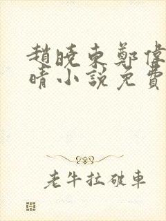 赵晓东郑伟吴雪晴小说免费阅读