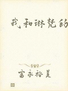 我和琳梵的故事