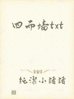 四面墙txt