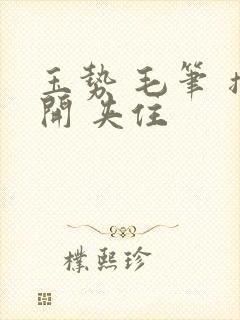 玉势 毛笔 撑开 夹住