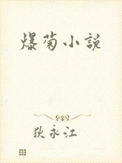 爆菊小说