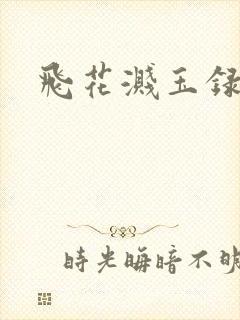 飞花溅玉录