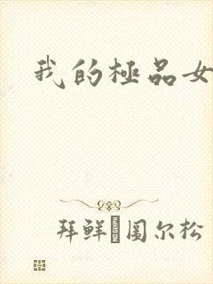 我的极品女老师