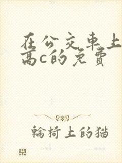 在公交车上弄到高c的免费