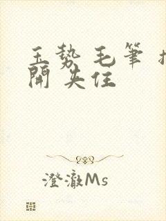 玉势 毛笔 撑开 夹住