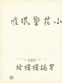 催眠警花小说