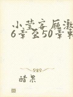 小莹客厅激情46章至50章软件介绍