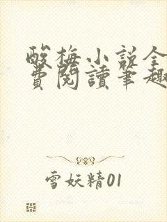 酸梅小说全文免费阅读笔趣阁