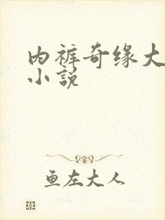 内裤奇缘大团结小说