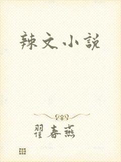 辣文小说