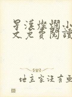 星汉灿烂小说全文免费阅读