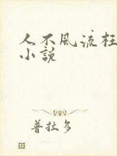 人不风流枉少年小说