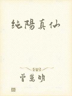 纯阳真仙