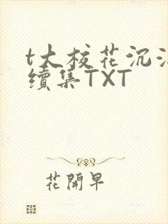 t大校花沉浮录续集TXT