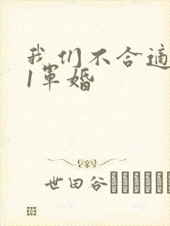 我们不合适1v1军婚