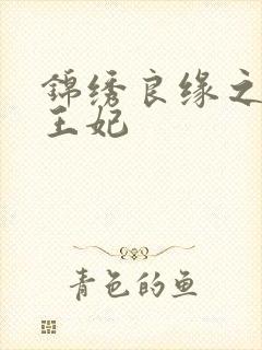 锦绣良缘之北地王妃