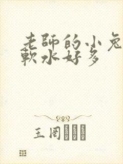 老师的小兔子好软水好多