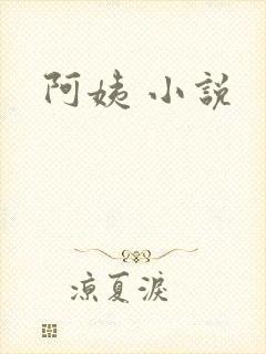 阿姨 小说