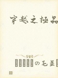 穿越之极品皇帝