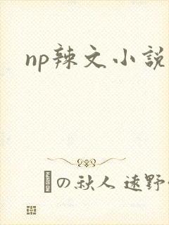 np辣文小说