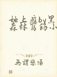 她上瘾by黑暗森林写的小说免费阅读无弹窗