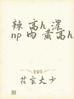 辣 高h 浓 np 肉 黄高h