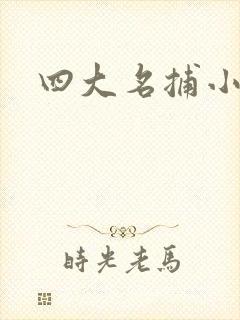 四大名捕小说