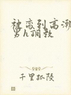 被脔到高潮的直男h调教