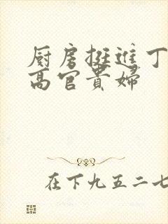 厨房挺进丁字裤高官贵妇