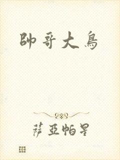 帅哥大鸟