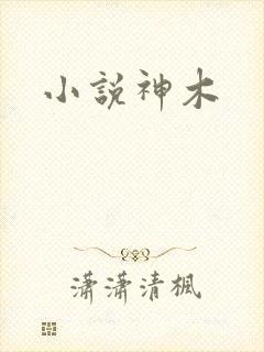 小说神木