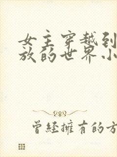 女主穿越到很开放的世界小说