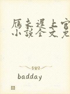 雁未迟上官穿越小说全文免费阅读