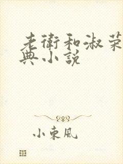 老卫和淑荣的经典小说