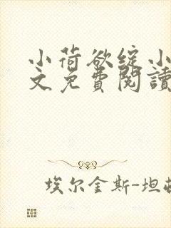 小荷欲绽小说全文免费阅读笔趣阁