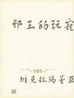 《邪王的玩宠》小说封面