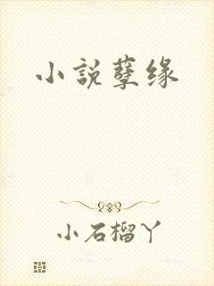 小说孽缘
