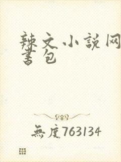 辣文小说网第二书包