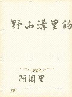 野山沟里的村庄