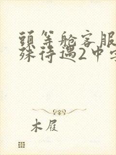 头等舱客服的特殊待遇2中字