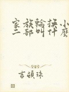 家族轮换小说第二部叫什么名字