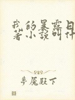 我的暴露日记原著小说叫什么