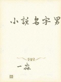 小说名字男生