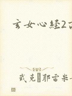 玄女心经2高潮