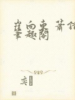 崔向东 萧错 笔趣阁